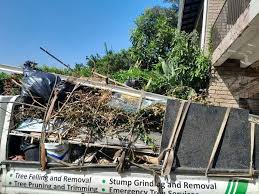 Best Construction Debris Removal  in Fort Denaud, FL